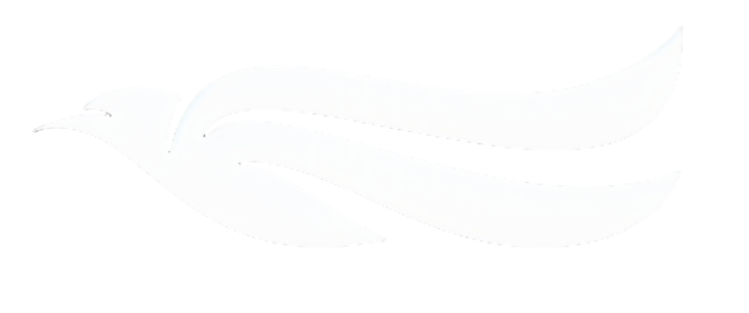 Radio Möwe Logo